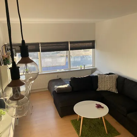Small But Cozy 1 Bedroom With Living Apartment *