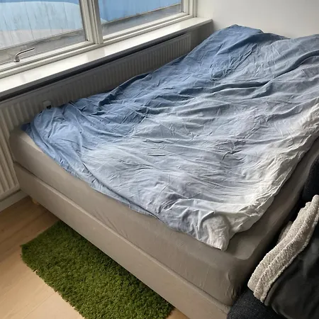 Apartment Small But Cozy 1 Bedroom With Living Hvidovre