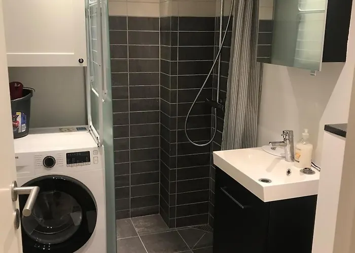 Small But Cozy 1 Bedroom With Living Apartment