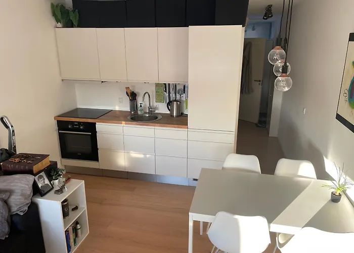 Small But Cozy 1 Bedroom With Living