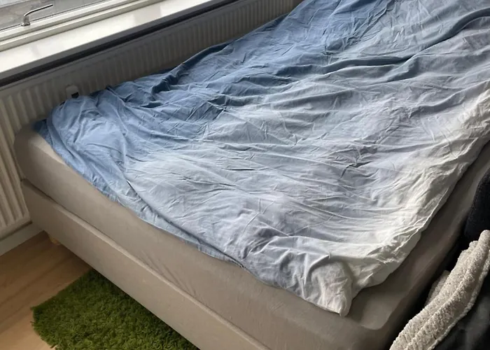 Apartment Small But Cozy 1 Bedroom With Living Hvidovre